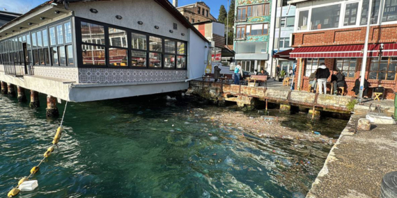 Denizin üstünü çöp kapladı
