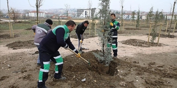 167 Fidan Engelliler İçin Toprakla Buluştu