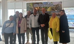 buyuksehirden-badem-biti-ve-zeytin-zararlilariyla-mucadele-MimPQXQL.jpg