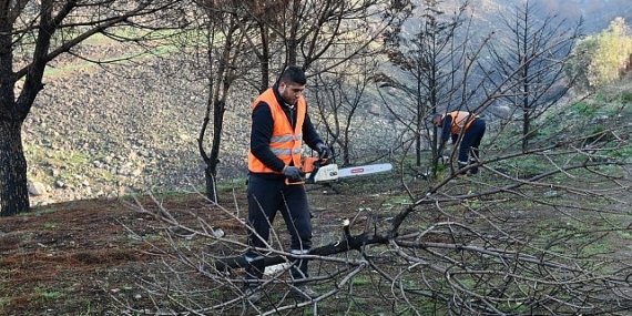 Çiğli Belediyesi Orman Yangınının İzlerini Silmek İçin Seferber Oldu