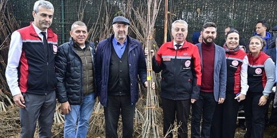 İzmirli Kestane Üreticilerine Kestane Gal Arısına Dayanıklı 2 bin 620 Fidan Dağıtıldı