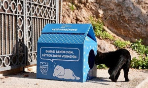 cesme-belediyesinden-sokaktaki-minik-patilere-sicak-bir-yuva-iVFHamw9.jpg
