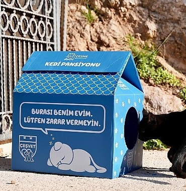 cesme-belediyesinden-sokaktaki-minik-patilere-sicak-bir-yuva-iVFHamw9.jpg