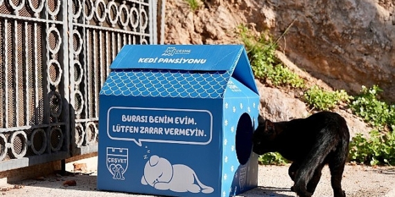 Çeşme Belediyesi’nden sokaktaki minik patilere sıcak bir yuva!