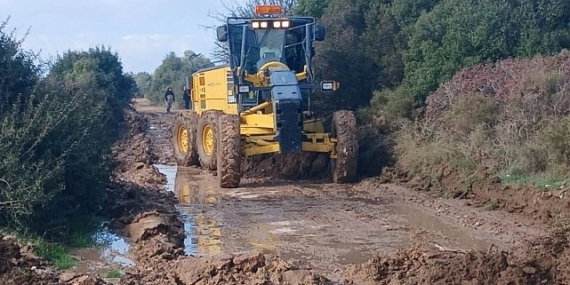 Didim belediyesi, üreticinin yanında olmaya devam ediyor