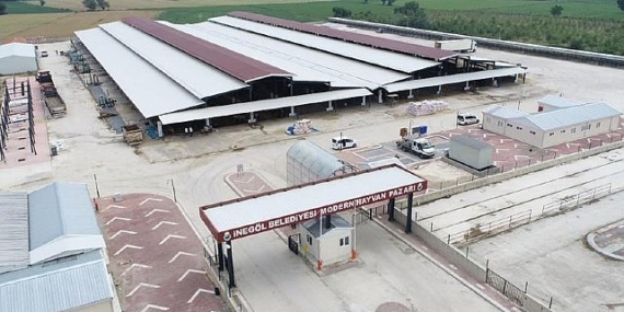 İnegöl Hayvan Pazarı Bu Hafta Kurulacak