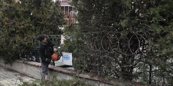 Şehir Genelinde Ağaç Budama Çalışmaları Sürüyor