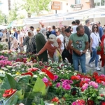 bayindir-26-uluslararasi-cicek-festivali-basliyor-ORft7pCP.jpg