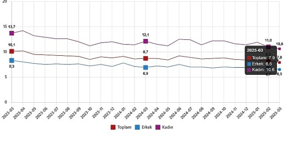 İşgücü İstatistikleri, Mart 2025