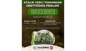 milas-belediyesi-ata-tohumlarini-yasatmak-amaciyla-sebze-fidesi-dagitimi-gerceklestirecek-cKVBjCmj.jpg