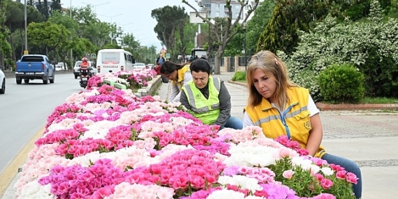 Başkan Çerçioğlu Efeler’i Bahar Çiçekleri ile Süsledi