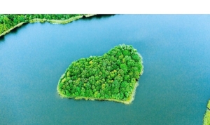 ingnin-iklim-hedefleri-bilimsel-tabanli-hedefler-girisimi-sbti-tarafindan-dogrulandi-KhNUa6GU.jpg
