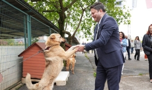 kadikoy-belediyesi-gecici-hayvan-bakimevi-yenilendi-6x5OjWv9.jpg