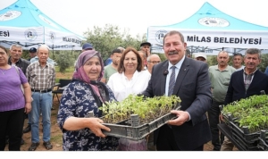 milas-belediyesi-ata-tohumlarini-yasatmak-icin-ureticilere-fide-dagitimi-gerceklestirdi-CxOl6quw.jpg