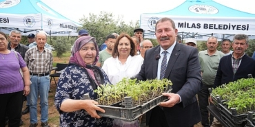 milas-belediyesi-ata-tohumlarini-yasatmak-icin-ureticilere-fide-dagitimi-gerceklestirdi-CxOl6quw.jpg