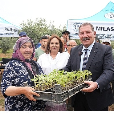 milas-belediyesi-ata-tohumlarini-yasatmak-icin-ureticilere-fide-dagitimi-gerceklestirdi-CxOl6quw.jpg