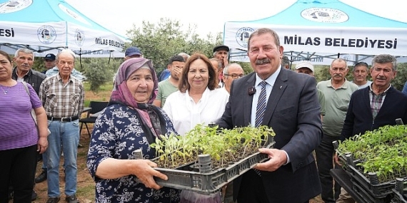 Milas Belediyesi, ata tohumlarını yaşatmak için üreticilere fide dağıtımı gerçekleştirdi