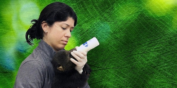 ‘Tampa’nın Sırları: Vahşi Taraf’, 5 Mayıs Pazartesi Günü 20.00’de National Geographic WILD Ekranlarında!