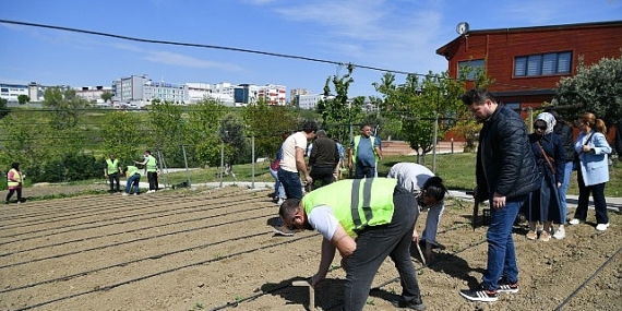 Yaşam Bahçesi yaza hazır