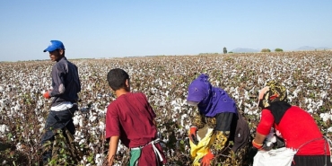 12-haziran-dunya-cocuk-isciligi-ile-mucadele-gunu-turkiyede-mevsimlik-tarimin-yuku-cocuklarin-omzunda-2dK4Hjy7.jpg