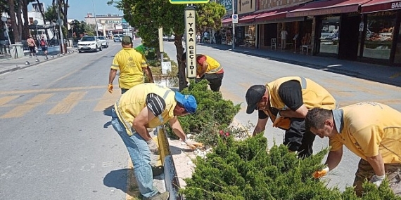 Başkan Çerçioğlu’nun Hizmetleri Kuşadası’nı Doğanın Yeşil Tonları ile Buluşturuyor