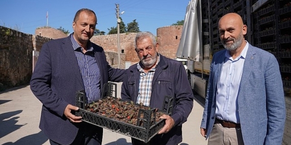 Bayram Öncesi İznik’te Mezarlıklar Çiçek Açıyor