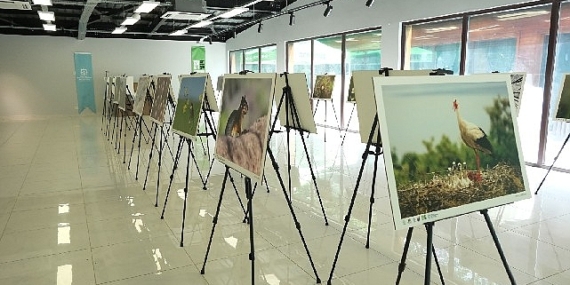 Bu fotoğraf sergisi Ormanya’da görsel şölen sunuyor