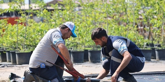 Büyükşehir’in fidanlığı Kocaeli’ni yeşillendiriyor