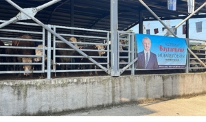 buyuksehirin-modern-mezbahasinda-kurbanlar-kesiliyor-33UJhGIh.jpg