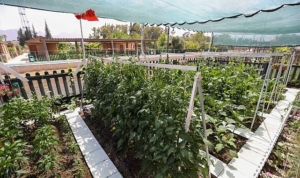 en-guzel-tasarim-ve-uygulama-yarismasinda-oduller-sahiplerini-buldu-vyIgWWUg.jpg