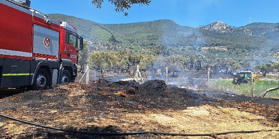 İzmir İtfaiyesi Torbalı, Kınık ve Menderes’teki yangınlara müdahale etti
