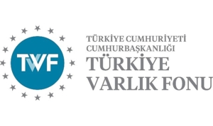 kamu-sigorta-ve-emeklilik-sirketlerinin-satin-alma-ve-birlesme-sureci-tamamlandi-PNWISNQQ.jpg