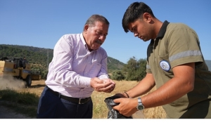 milas-belediyesi-karakilcik-bugday-hasadi-gerceklestirdi-enmkP2q9.jpg
