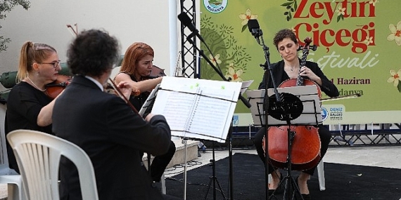 Tirilye’de zeytinin çiçeği açtı, festival sokakları sardı