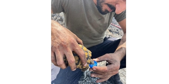 Alevlerin ortasında bir damla hayat