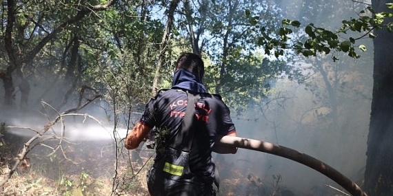 Büyükşehir, Karamürsel yangını için seferberlik ilan etti