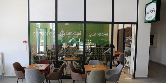 Ekonomik “Çankafe” sayısı artıyor