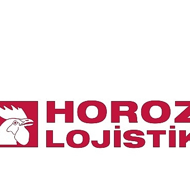 horoz-lojistikin-dijitallesme-ve-inovasyon-gucu-tescillendi-38S7xJAK.jpg