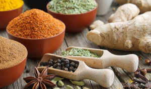 worldfood-istanbul-fuarina-25-firmayla-cikarma-yapacaklar-UGNPp3xY.jpg