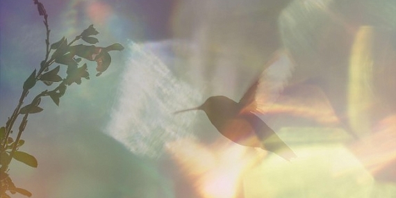 Yapı Kredi bomontiada TV+ ile Açık Havada Sinema’da bu hafta: “Every Little Thing”