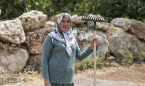 yenisehir-belediyesinin-destegiyle-safran-ureticisi-sayisi-artiyor-8CPAllsv.jpg