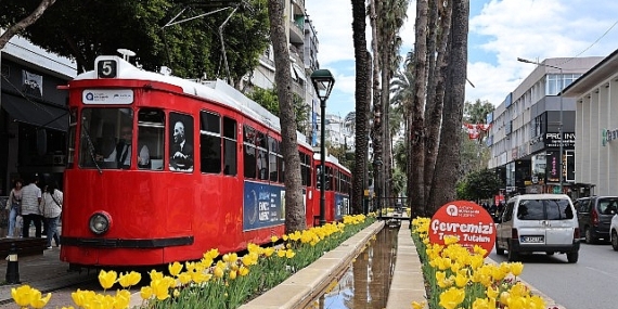 Baharın müjdecisi laleler Antalya sokaklarını renklendirdi