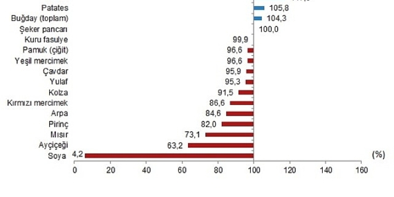 Bitkisel Ürün Denge Tabloları, 2025