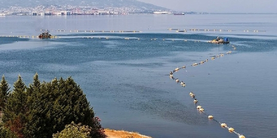 Körfezdeki dev temizlik dünya gündeminde