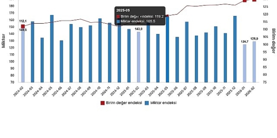 Dış Ticaret Endeksleri, Şubat 2026